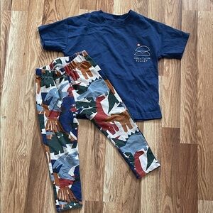 Zara Dinosaur Mountain Sunset Outfit Leggings